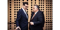  A lengyel miniszterelnök megújítaná a lengyel-magyar kapcsolatokat  