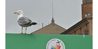  Konklávé: szerdán este hét óra előtt nem száll fel az első füst  