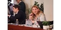 Baranyi Krisztina szerint már nyáron új választások jöhetnek Budapesten  