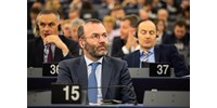  Manfred Webert újraválasztották az Európai Néppárt frakciójának élén  