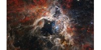  Belenézett a Tarantula-ködbe a James Webb űrteleszkóp, lefotózta a legfiatalabb csillagokat  
