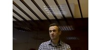  Kilenc év börtönre ítélték Alekszej Navalnijt  