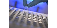  10-ből 9 fertőzött meghal a kínai laboratóriumban kitenyésztett új vírustól  