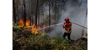  Sikerült megfékezni a Portugália középső részén pusztító erdőtüzet  