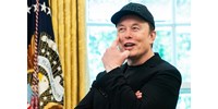 Elon Musk: Mondtam a kis X-nek, hogy gyerünk, üss meg! Erre megütött