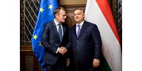  Donald Tusk: Orbán Viktor nyíltan oroszbarát  