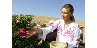  A Kreml szerint nem akar válni Aszad felesége, pláne nem azért, mert nem tetszik neki Moszkva  