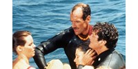  Meghalt a Baywatch Newmie-ját alakító Michael Newman  