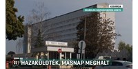  A kórház megállapította, ők nem hibáztak, amikor hazaküldték a kisfiút, aki másnap meghalt  