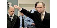  Kiadta volna a legnagyobb brit könyvesbolt a norvég tömeggyilkos, Anders Breivik kiáltványát, a rendőrség lépett közbe  