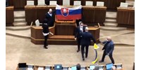  Dulakodásig fajult az amerikai?szlovák védelmi egyezmény vitája a szlovák parlamentben ? videó  