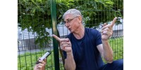  Gyurcsány Ferenc: Magyar és Vitézy a Fidesz érdekeit szolgálják  