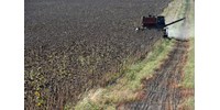  Ukrajna azt állítja, hogy több százezer tonna gabonát loptak el tőlük az oroszok  