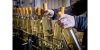  Több lehet a műanyag palackos bor a megnövekedett díjak miatt  