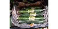  De miért van műanyagba csomagolva minden egyes kígyóuborka?  