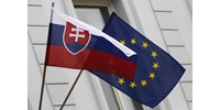  Szlovákiában vasárnap hajnalban ért véget az EP-választás  