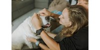  A kutyája érzi meg, hogy bántak önnel a szülei gyerekkorában  