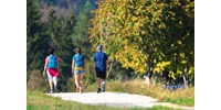  Turistautakat zárnak le a ragadós száj- és körömfájás terjedése miatt  
