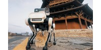  Hatlábú robotkutya védi Kínában az 1056-ban épült pagodát – videó  