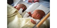  A Covid alatti lezárások idején született babák bélflórája ellenállóbb lehet az átlagnál  