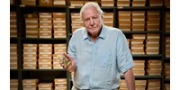  Érdemes lesz holnap bekapcsolni a tévét, leadják magyarul David Attenborough új dokumentumfilmjét  