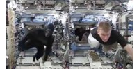  Gorilla az űrben? Fergetes videó terjed a Nemzetközi Űrállomás űrhajósairól  