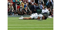  Megverte Djokovicot, Alcaraz Wimbledon bajnoka  