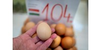  Pontosított a kormány: minden méretű tojásra érvényes az árstop  