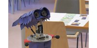 Időseket fognak gondozni: az ELTE kutatói javában dolgoznak egy robotflottán