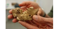  Találtak egy 300 000 éves emberi koponyát, soha ehhez hasonlót sem láttak még a tudósok  