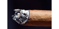  Kutatók szerint az ember már 12 ezer évvel ezelőtt is dohányozhatott  