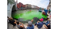  Szándékosan festhette valaki zöldre a fluoreszkáló velencei csatorna vizét – videó  