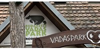  Nem akármilyen rókakölyök érkezett a Budakeszi Vadasparkba  