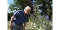 Sir David Attenborough: A világ rosszabb helyzetben lenne a történeteink nélkül