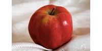  Egy 111 éves svájci gyümölcstermelő szervezetet perel az Apple: levédetné az alma képét, de nem a sajátját, hanem az igazit  