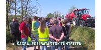  Több száz kacsa- és libatartó tüntetett, szerintük semmit nem ér a kormány intézkedése a madárinfluenza ellen  