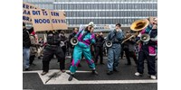  Több száz klímaaktivista blokkolt egy autópályát Hollandiában (videóval)  