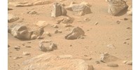 „Megkövült trollt” fotózott a NASA a Marson