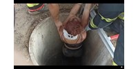  Tűzoltók mentettek ki egy fiatal lányt egy hat méter mély kútból – videó  