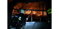 Több ezer négyzetméteren lángolt, végül teljesen leégett egy budapesti kertészet épülete – fotók
