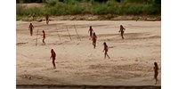Előbújt egy amazonasi őslakos törzs, mert fakitermelők törtek be lakhelyükre - ritka felvételek rögzítették őket