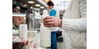 Aflatoxin-szennyezés: a megyei kormányhivatalok az összes tejfeldolgozót ellenőrzik