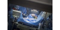  Egy új algoritmus már képes arra, hogy műtét közben irányítsa a sebészeti tűt  
