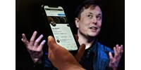  Visszaengedné Donald Trumpot a Twitterre Elon Musk  
