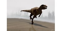  300 kiló és 45 km/h-val fut: villámgyors húsevő dinoszauruszok nyomaira bukkantak  