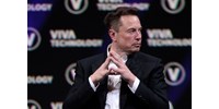  Elon Musk: egy éve maradt az emberiségnek, 2025-ben taszít le minket a mesterséges intelligencia  