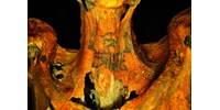  Különös tetoválásokat találtak két 3000 éves egyiptomi múmián  