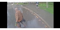  Elgázolt egy idős embert a szegedi trolibuszvezető, és még neki állt feljebb – videó  