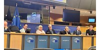 Megalakult a Orbánék új frakciója az EP-ben, francia elnököt és fideszes alelnököt választottak