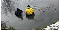 Eltűnt nő holttestére bukkantak egy bakonyi falu melletti tóban